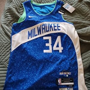Nike Giannis Antetokounmpo Milwaukee Bucks City Edition Men's Swingman Jersey